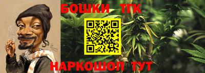 таблы Будённовск
