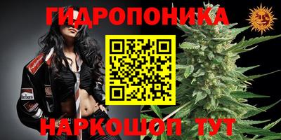 таблы Будённовск