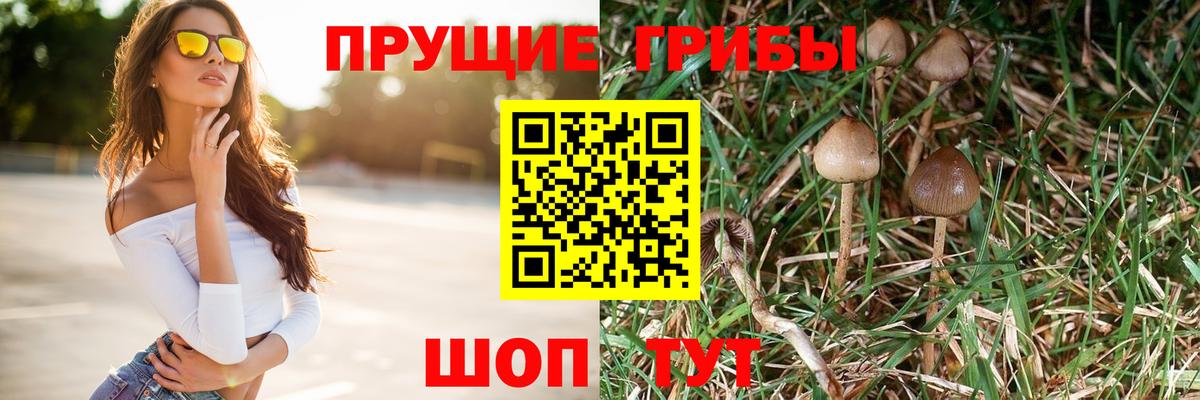 Псилоцибиновые грибы GOLDEN TEACHER Мирный